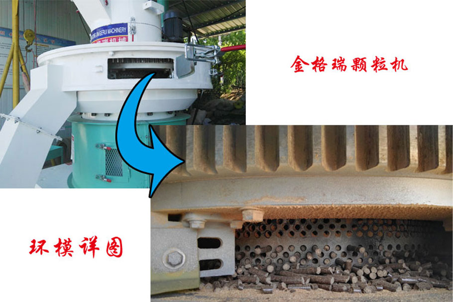榴莲视频成人官网