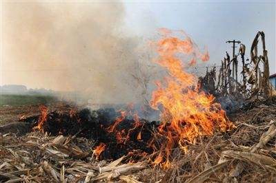 生物质榴莲视频成人官网械