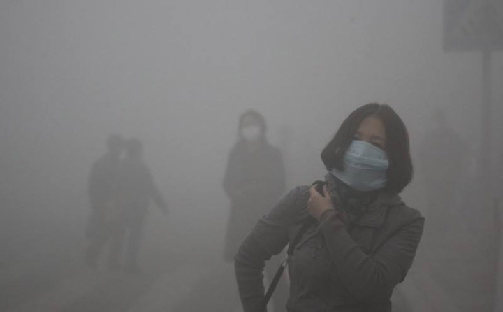 生物质榴莲视频成人官网械