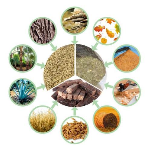 生物质榴莲视频成人官网械
