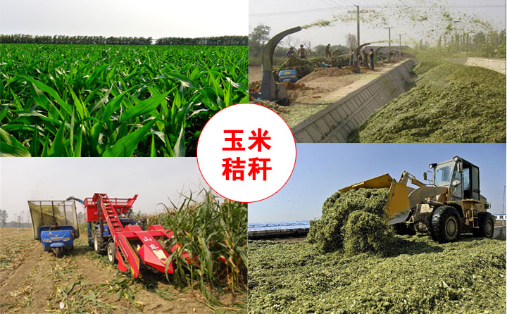 生物质榴莲视频成人官网械