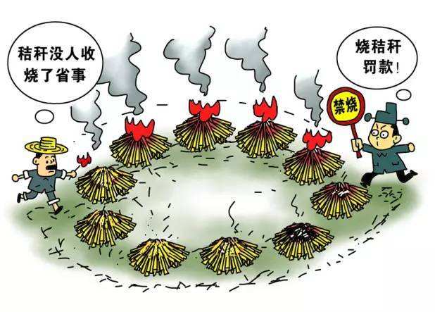 生物质榴莲视频成人官网械