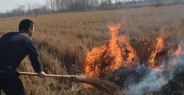 生物质榴莲视频成人官网械