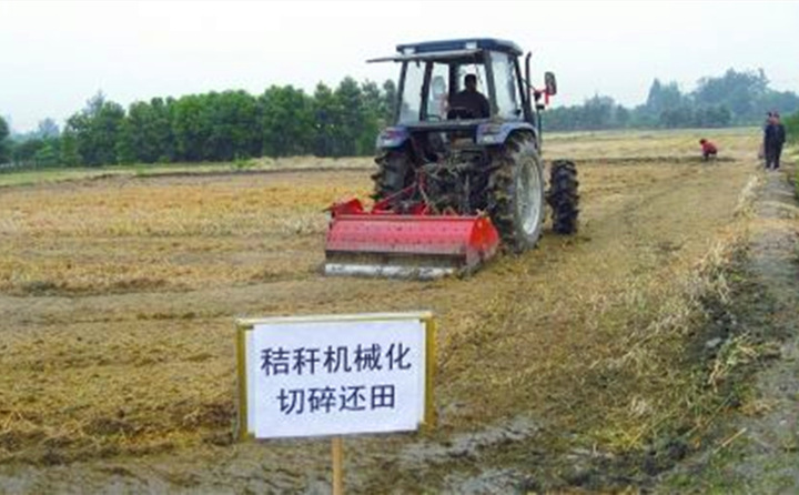 秸秆还田让“地越种越肥、产值越来越高”