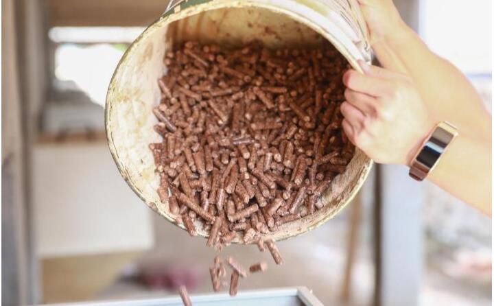 生物质榴莲视频成人官网的燃料