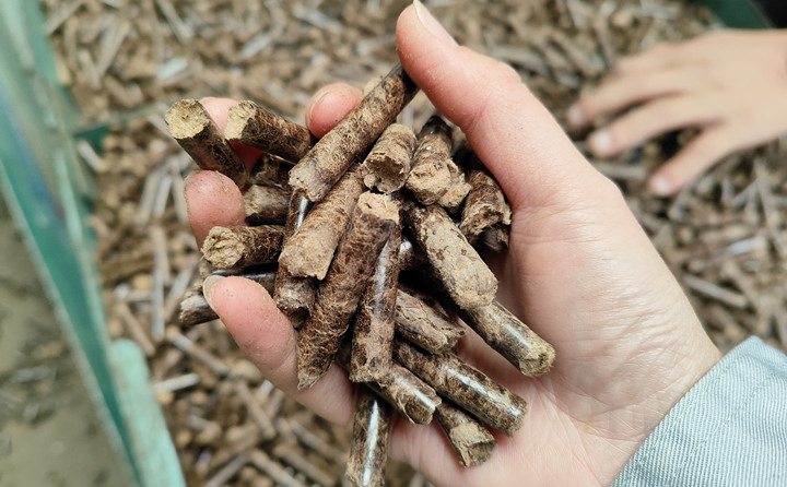生物质榴莲视频成人官网加工的颗粒燃料