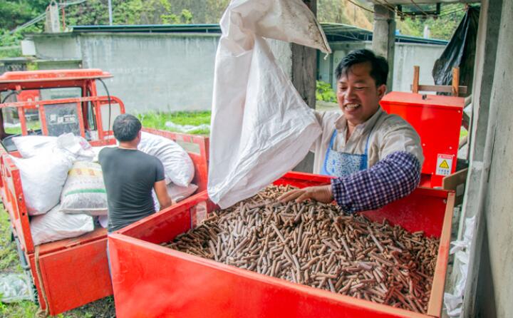生物质榴莲视频成人官网加工的生物质颗粒燃料