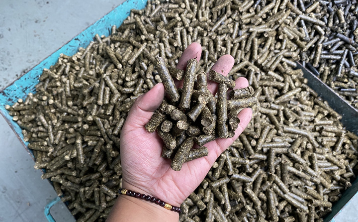 生物质榴莲视频成人官网加工的燃料