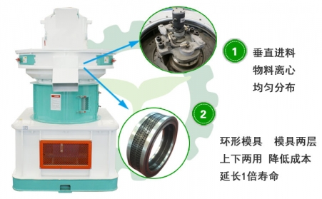 生物质榴莲视频成人官网投资前景及对能源可持续发展的作用