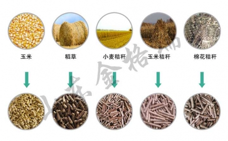 解析榴莲视频成人官网设备生物质颗粒燃料的4大误区