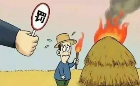 秸秆禁烧怎么办？秸秆榴莲视频成人官网帮您变废为宝！