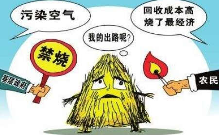 黑龙江秸秆榴莲视频成人官网把秸秆从包袱变回宝贝！