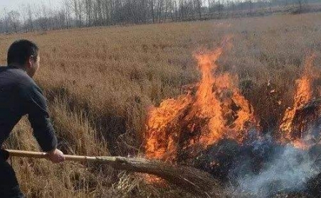 生物质榴莲视频成人官网解决了农村大难题！