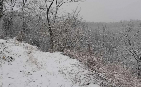 下雪天与榴莲视频成人官网发货更配