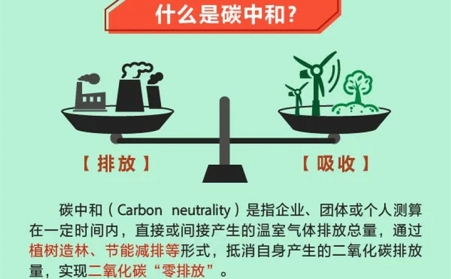 生物质榴莲视频成人官网设备有望 成为碳中和利器