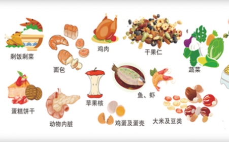 我国明确对非居民厨余垃圾处理按“产生者付费”原则计量收费,你的垃圾怎么办？垃圾生物质榴莲视频成人官网帮你解决