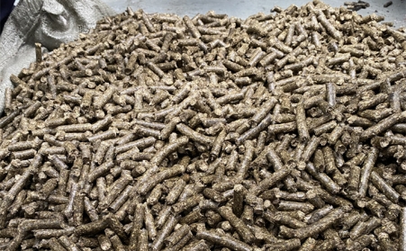 生物质燃料榴莲视频成人官网生产线配套设备有哪些？有什么好处？