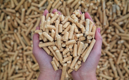 报告：日本2021年进口300万吨生物质燃料榴莲视频成人官网木屑颗粒
