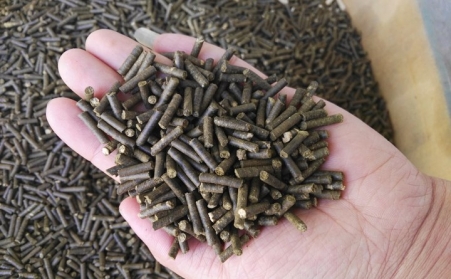 生物质燃料榴莲视频成人官网加工颗粒燃料对我国发展有重大意义