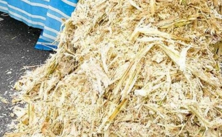 甘蔗渣想废物利用？可以考虑生物质榴莲视频成人官网！