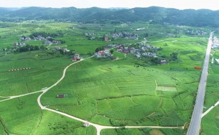 福泉：生物质颗粒智能化烘烤 助力烤烟产业提质增效