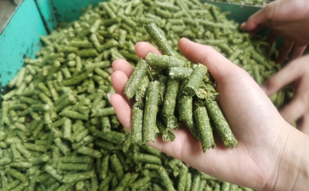 河南支持生物质能等可再生能源替代，助力实现碳达峰碳中和目标