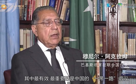 一带一路-生物质榴莲视频成人官网生产线发往巴基斯坦