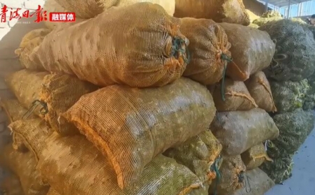 青海海东乐都：生物质颗粒燃料燃起乡村振兴新希望