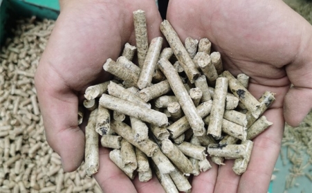 生物质榴莲视频成人官网加工的燃料颗粒是相对可靠和环保的