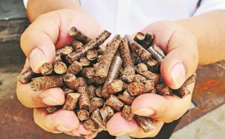 推广生物质燃料利用，农林业废弃物变成“宝贝疙瘩”