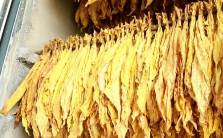 湖北省十堰市竹溪桃源乡：生物质燃料运输正当时