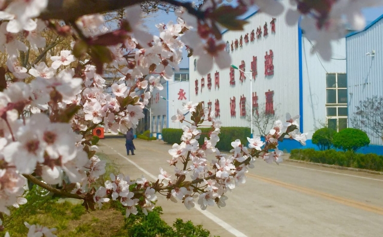 榴莲视频下载导航四季